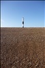 Dungeness